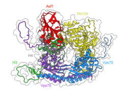 Using BlueBEAR to simulate fuzzy protein complexes