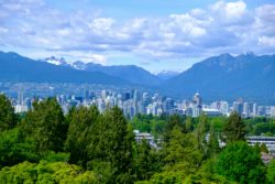 How can accountants help to stabilise the climate and drive nature recovery?