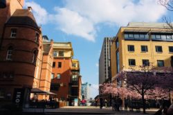 Economic Recovery and Resilience in Birmingham