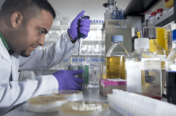 Place Matters: Universities and Local Innovation Systems