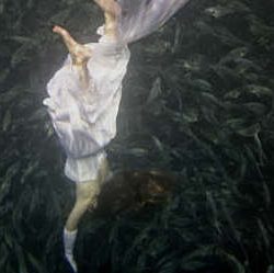 Distance-reading the feminine landscapes of The Awakening