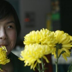 Do enjoy (and eat and drink) the chrysanthemums – The Chongyang Festival