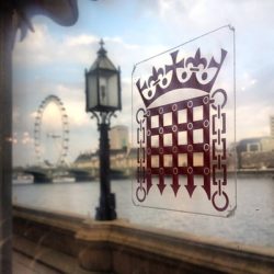 The Medicines and Medical Devices Act 2021 & Uncertain Regulatory Futures