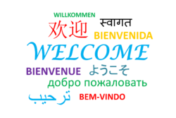 Welcome to our new blog!