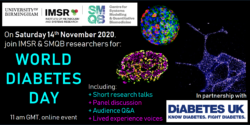World Diabetes Day – Saturday Nov 14th, 11am!